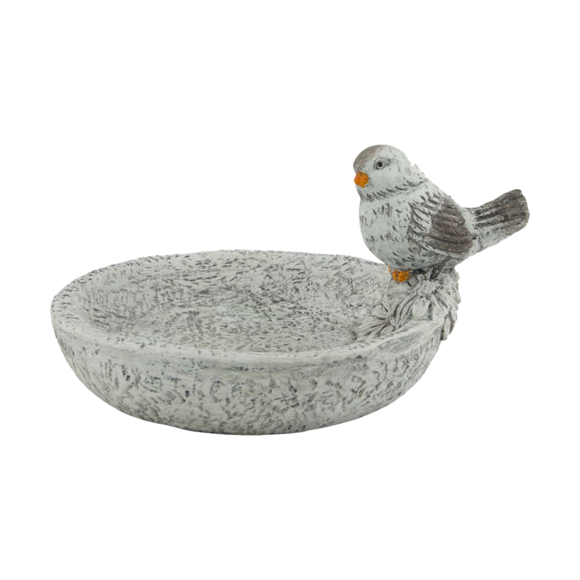 Vogeltränke Vogel Grau