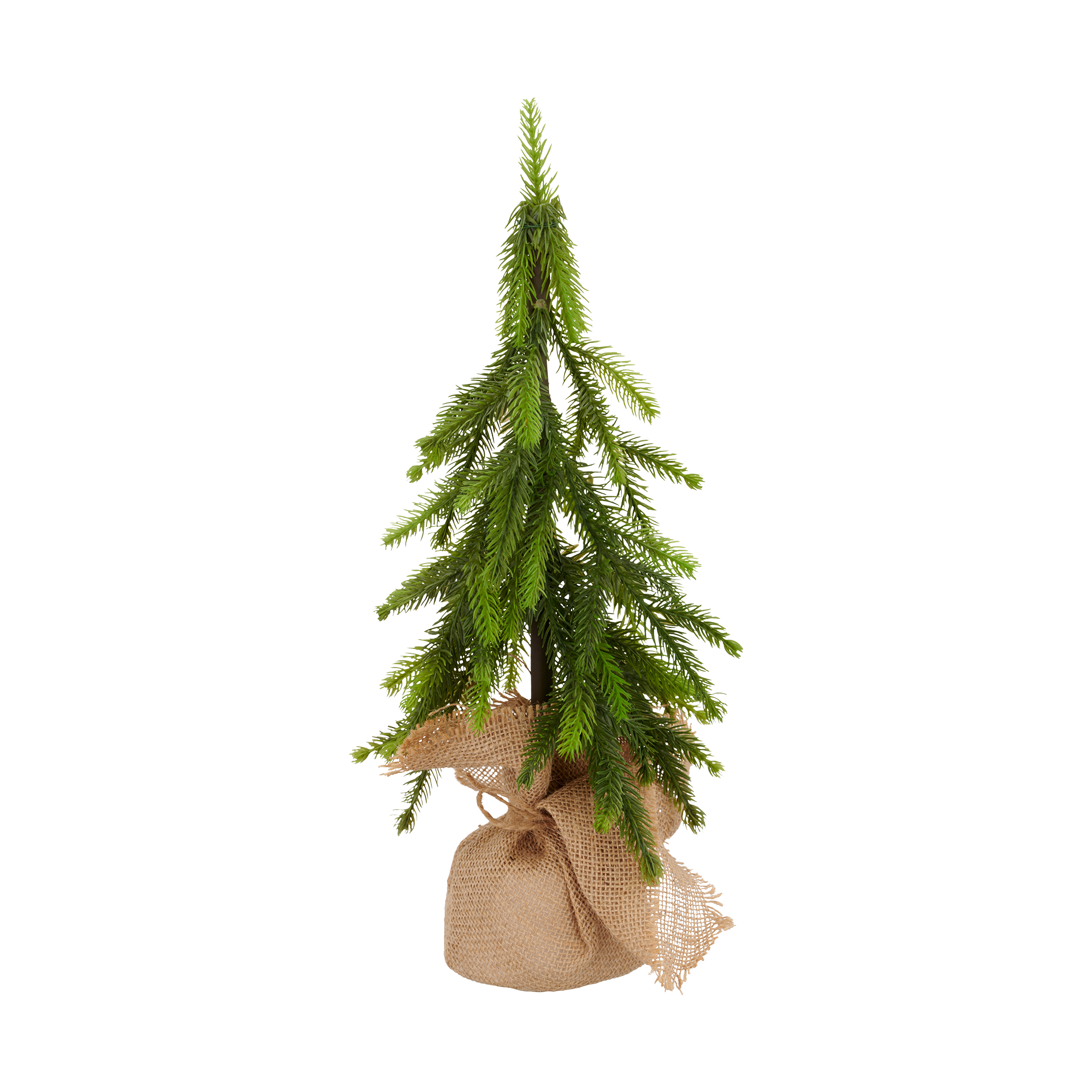 Baum Bäumchen Grün-Natur