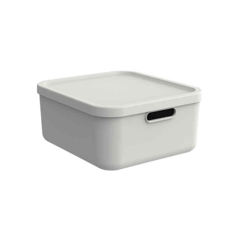 Rotho Box Albula
