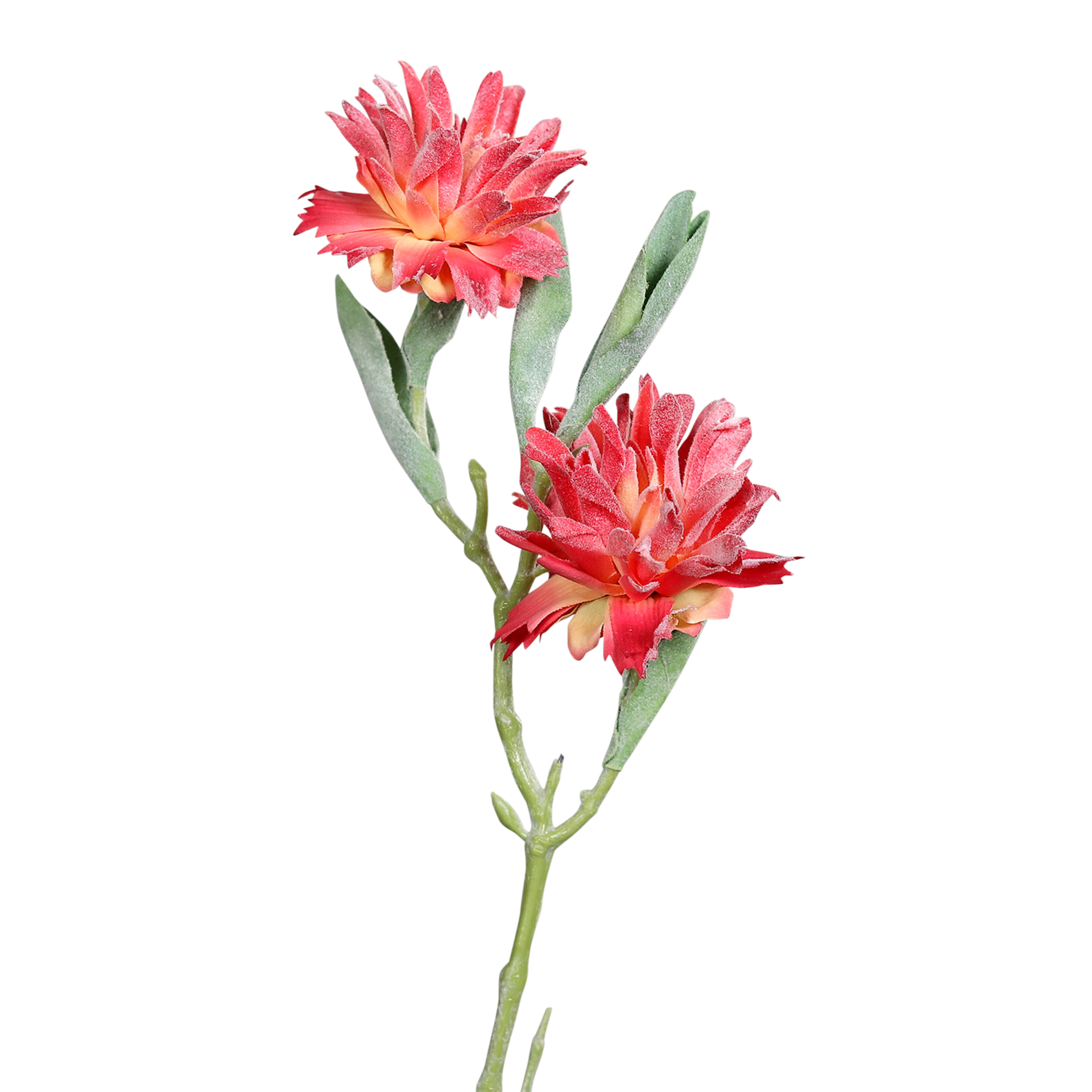 Kunstblume Leucospermum Red Kunstblume Leucospermum Red