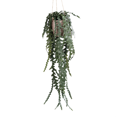 Kunstpflanze Sukkulenten grün