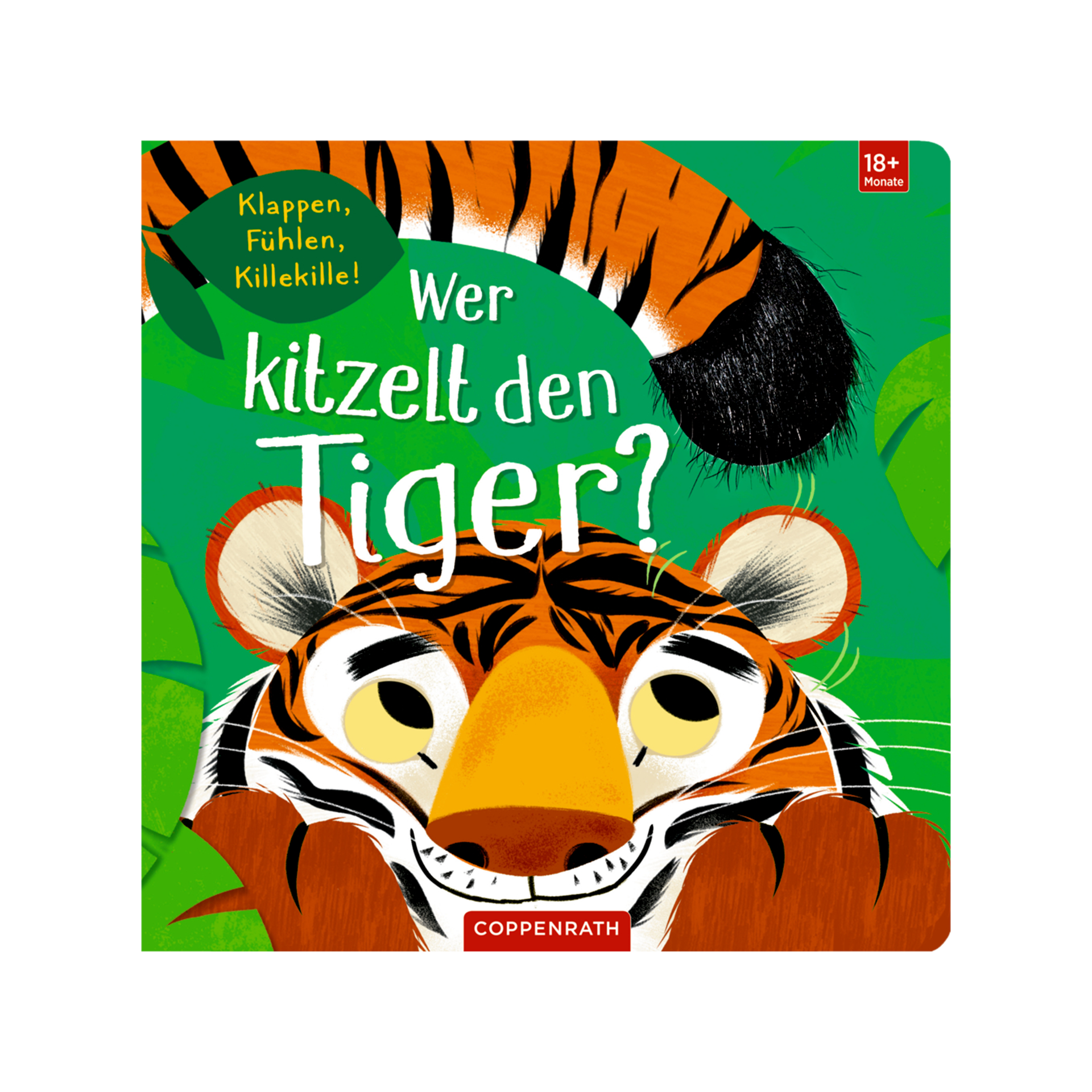 Buch Fühlen und die Welt begreifen Mehrfarbig