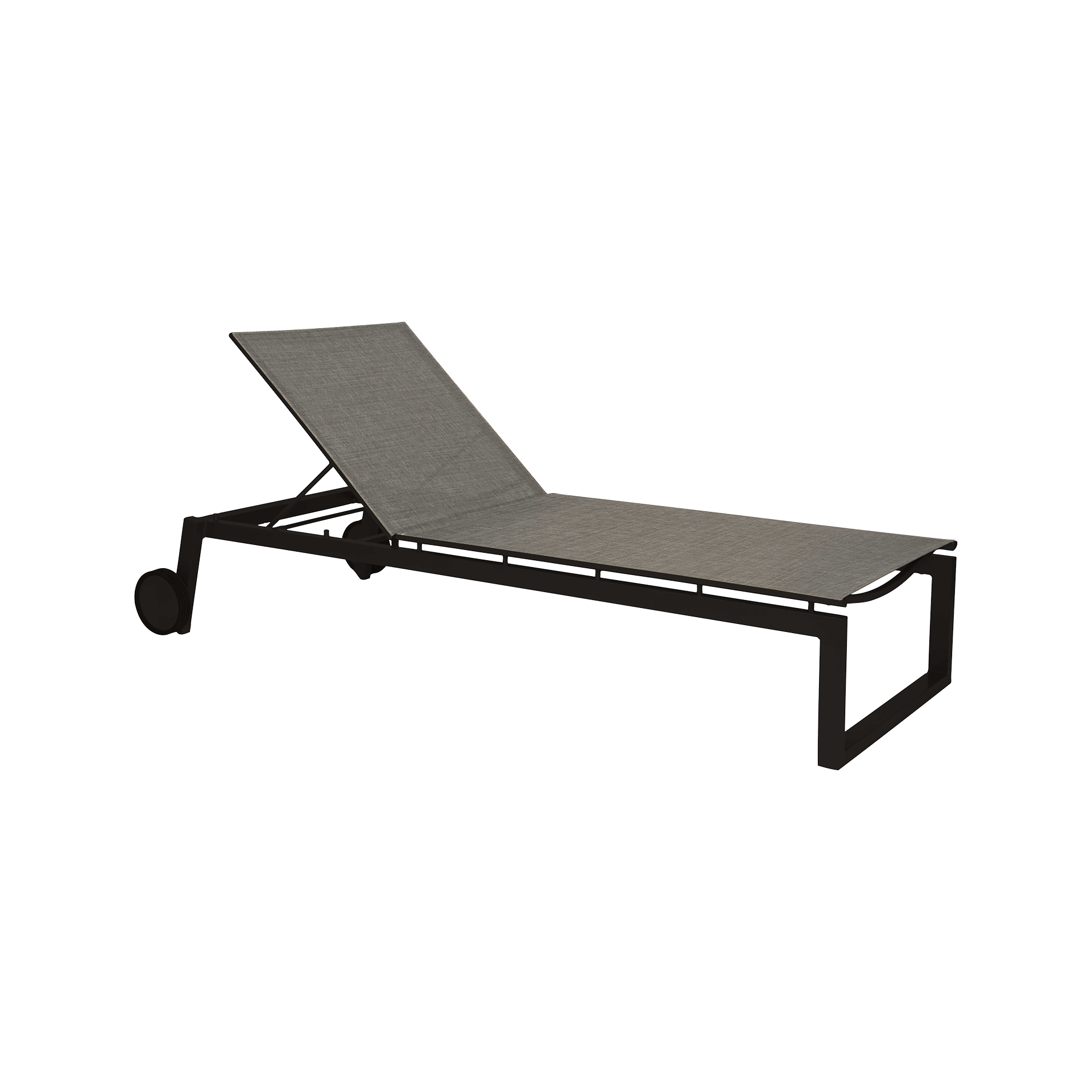 Stern Liege Robin Grau Stern Liege Robin Grau