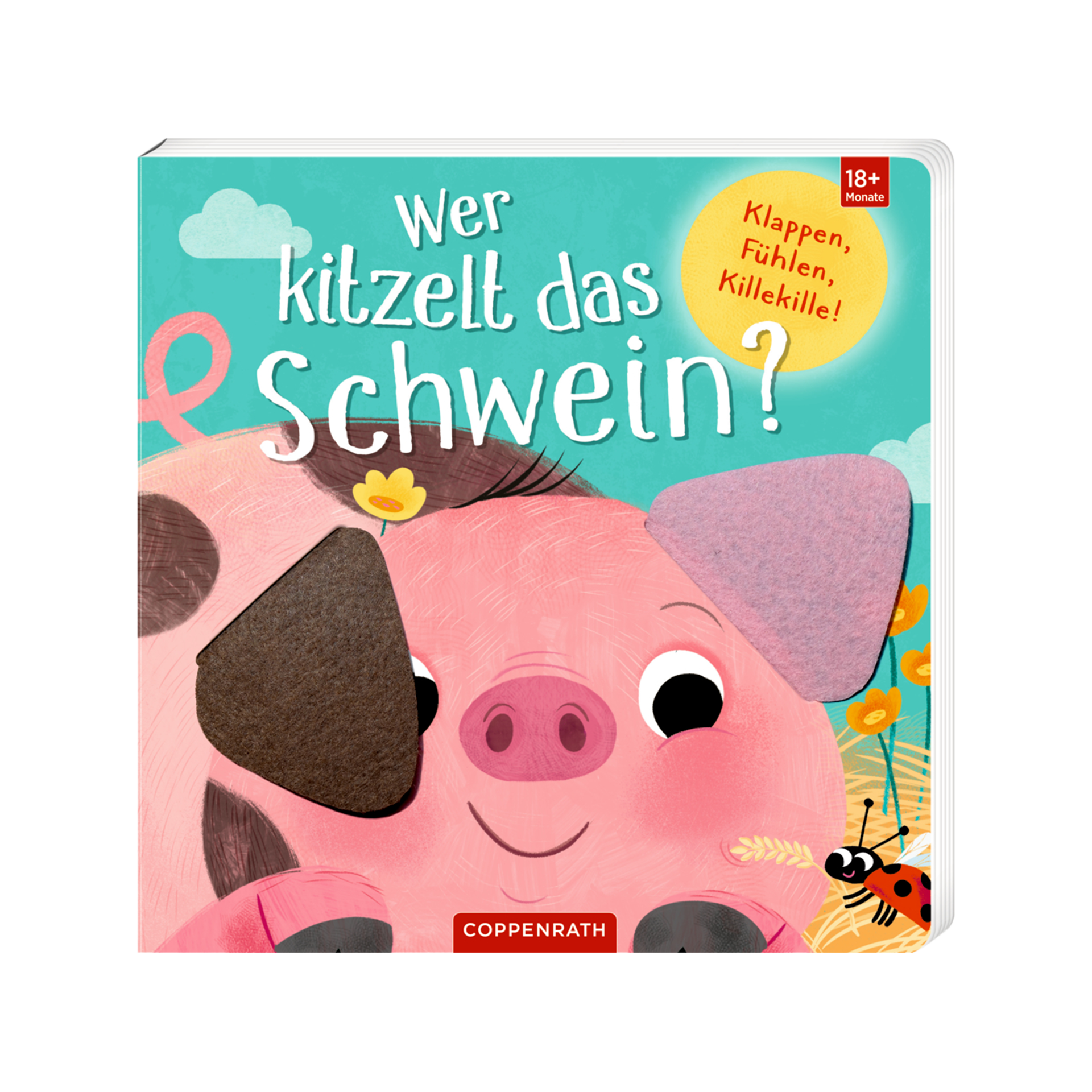 Buch Fühlen und die Welt begreifen Mehrfarbig
