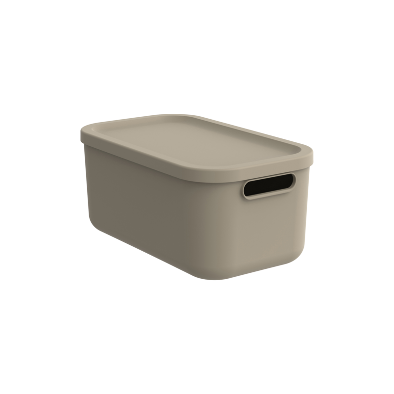 Rotho Box Albula Rotho Box Albula