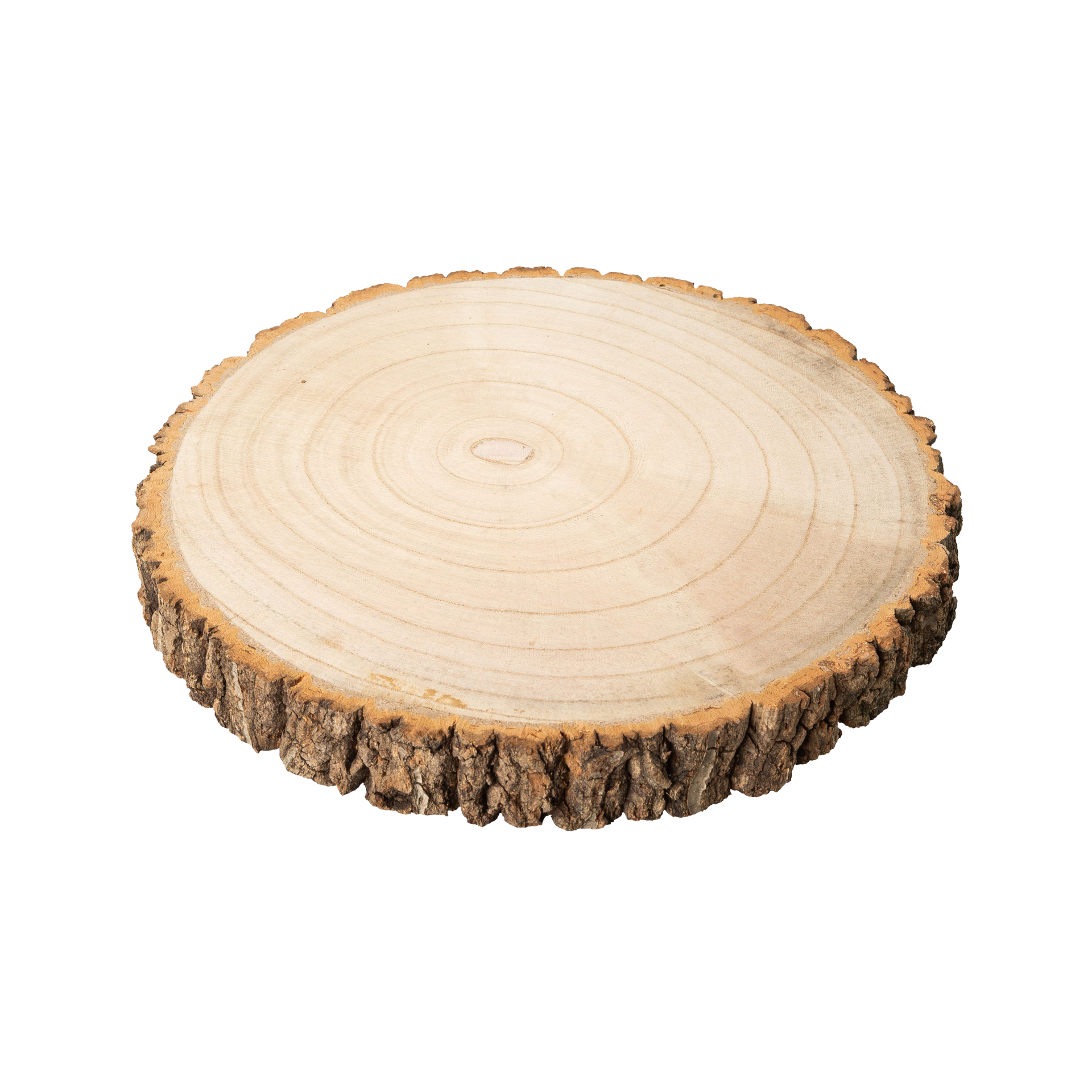 Holzscheibe Rinde Natur Holzscheibe Rinde Natur