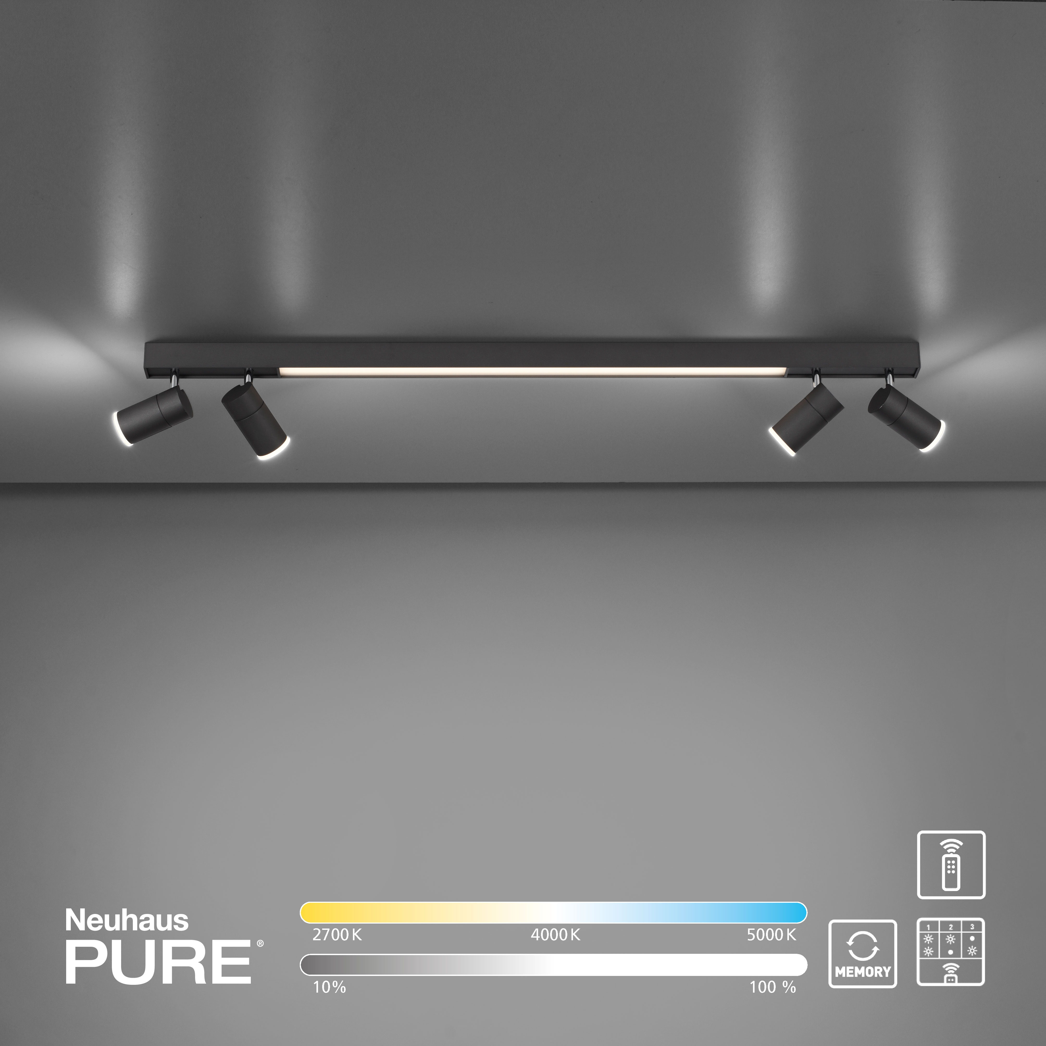 Deckenleuchte PURE-LINES anthrazit Deckenleuchte PURE-LINES anthrazit