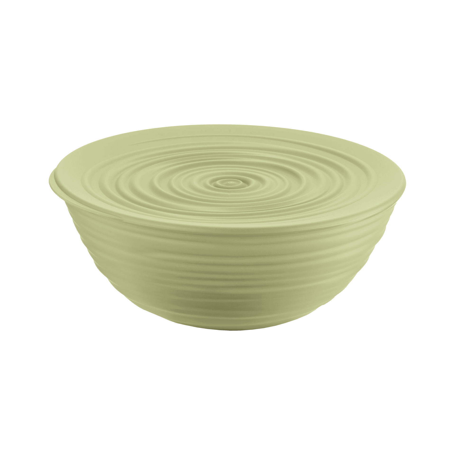 Schüssel Tierra 1