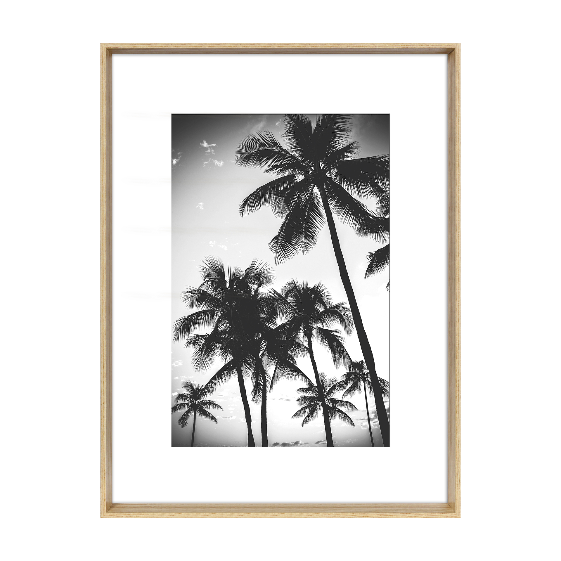 Bild Blanc Natur