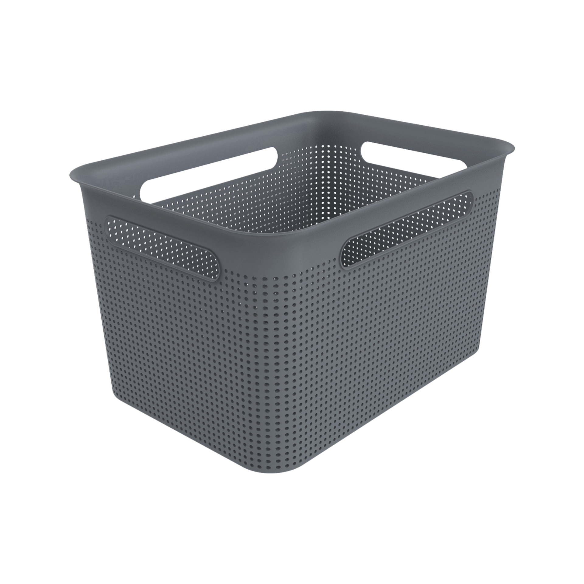 Rotho Box Brisen Rotho Box Brisen