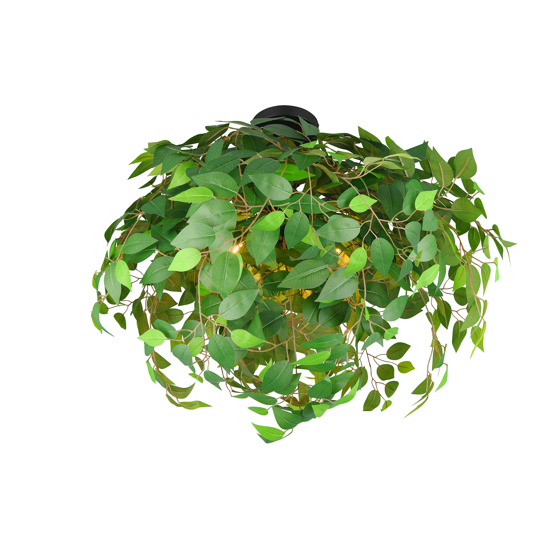 Deckenleuchte Leavy Schwarz Grün Deckenleuchte Leavy Schwarz Grün