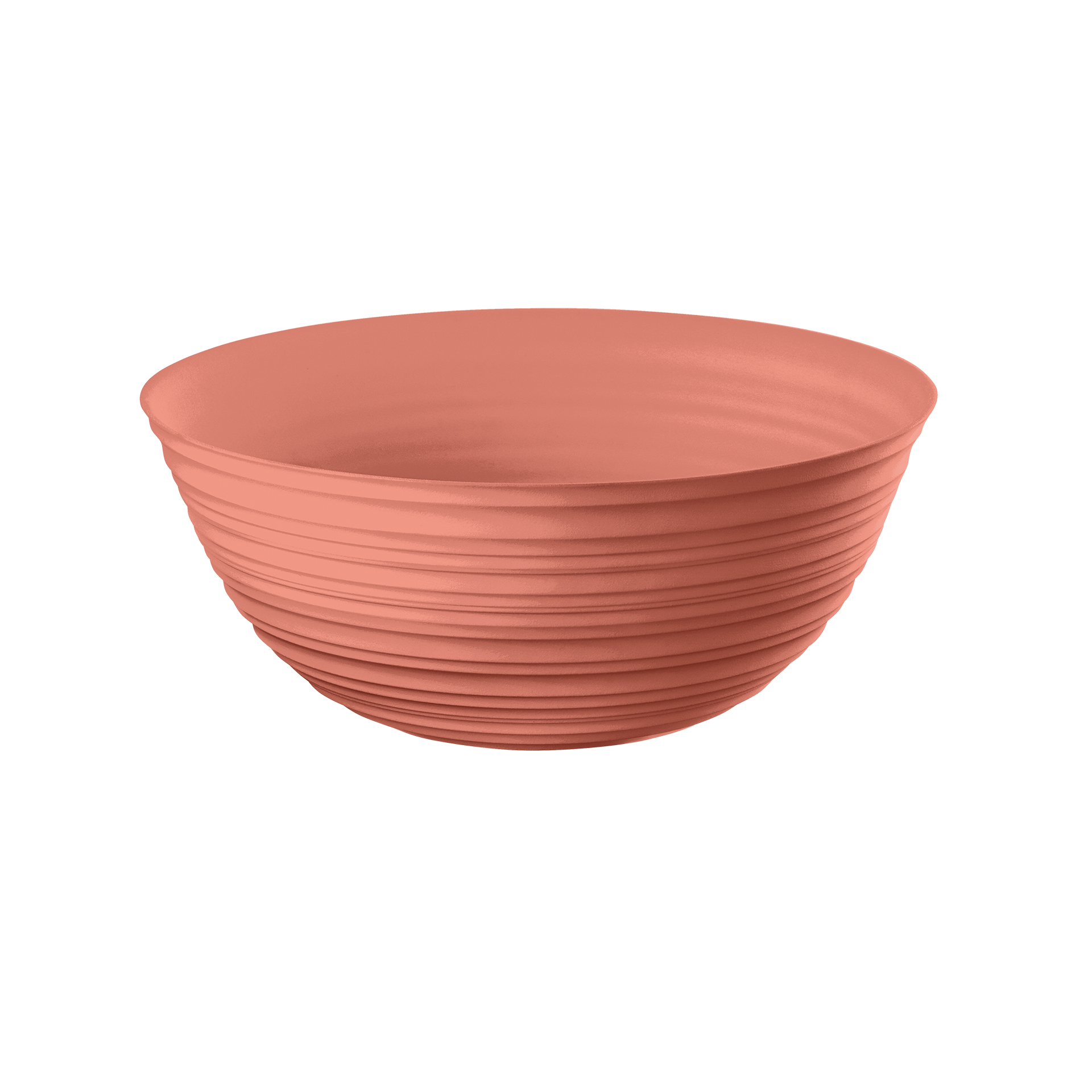 Schüssel Tierra 1
