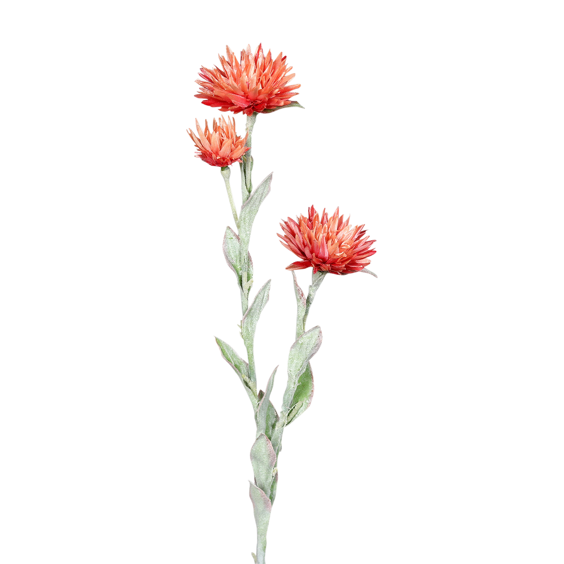 Kunstblume Strohblume Salmon