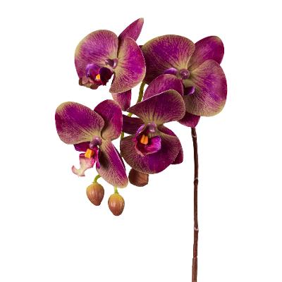 Kunstpflanze Phalaenopsis Violett Kunstpflanze Phalaenopsis Violett