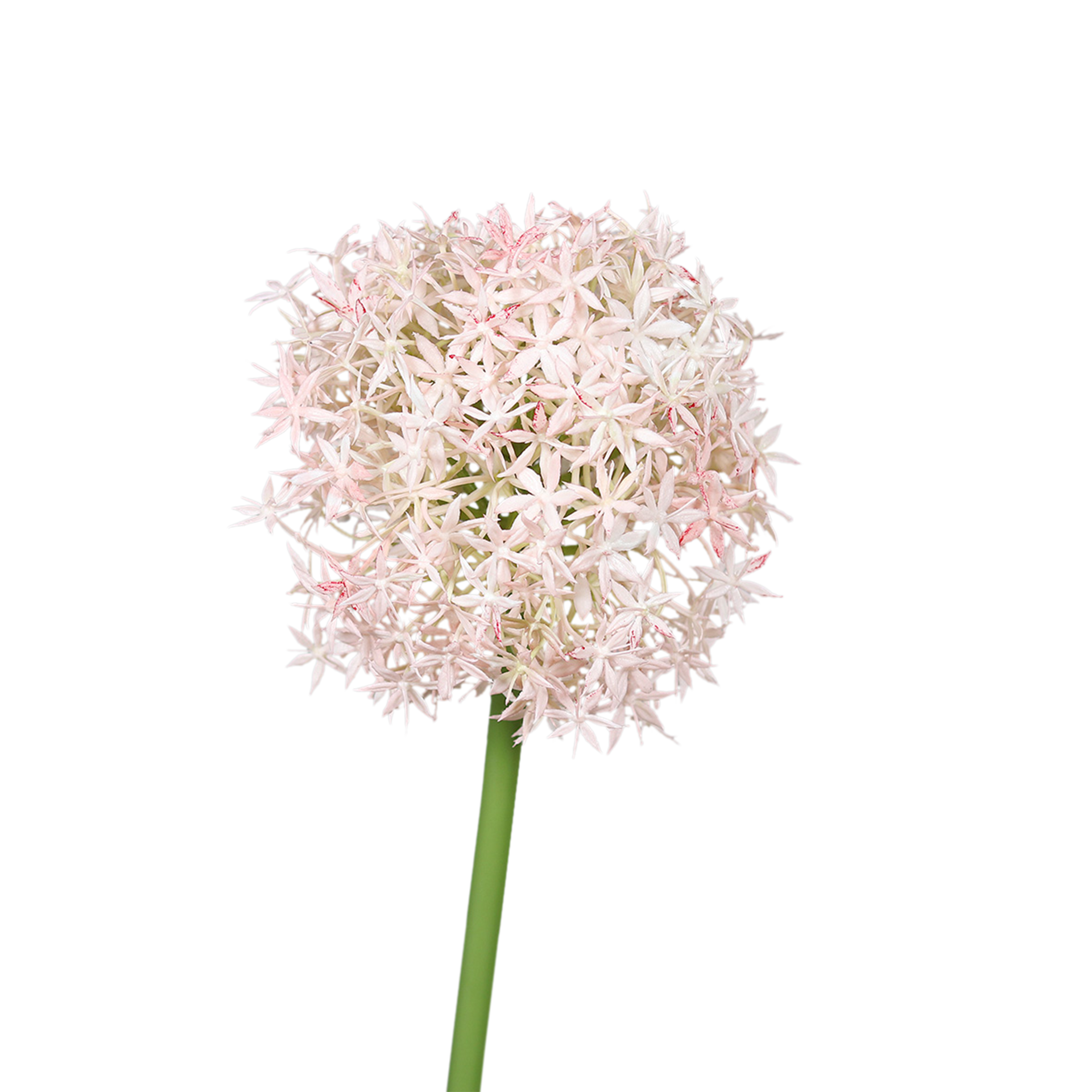 Kunstblume Allium Rosee Kunstblume Allium Rosee