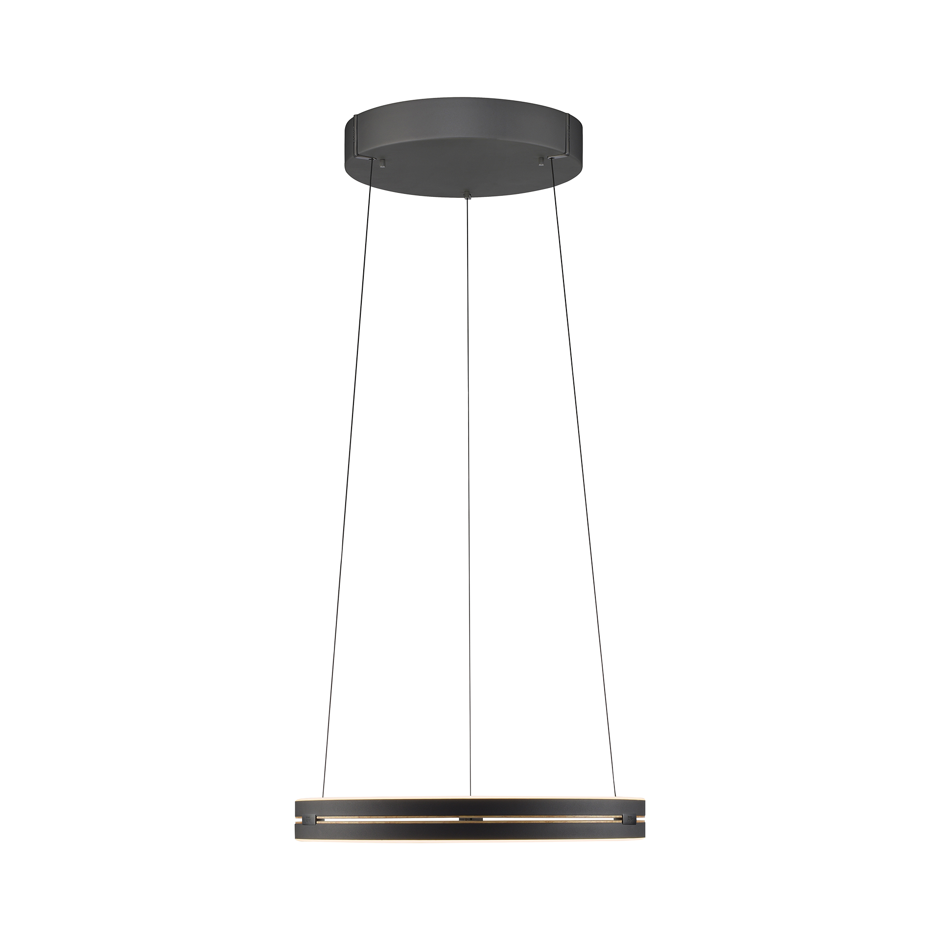 Pendelleuchte PURE E-Loop Pendelleuchte PURE E-Loop