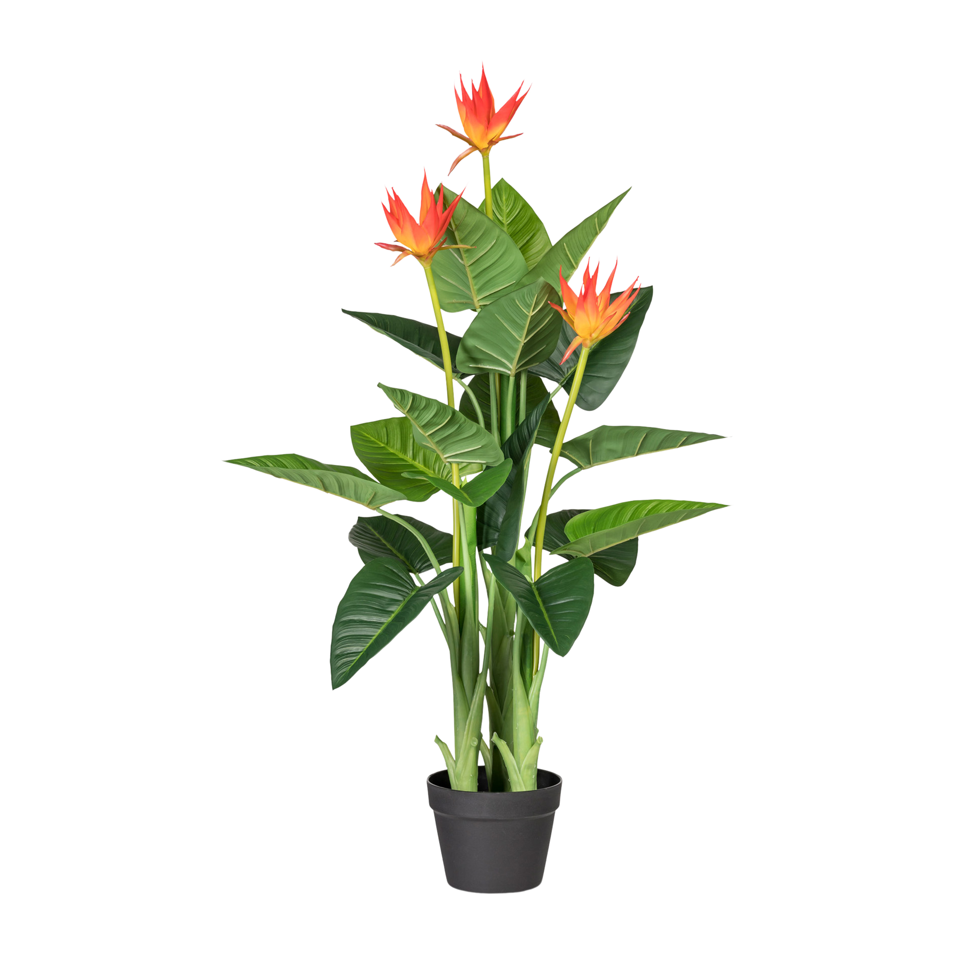 Kunstpflanze Guzmania Orange-Grün