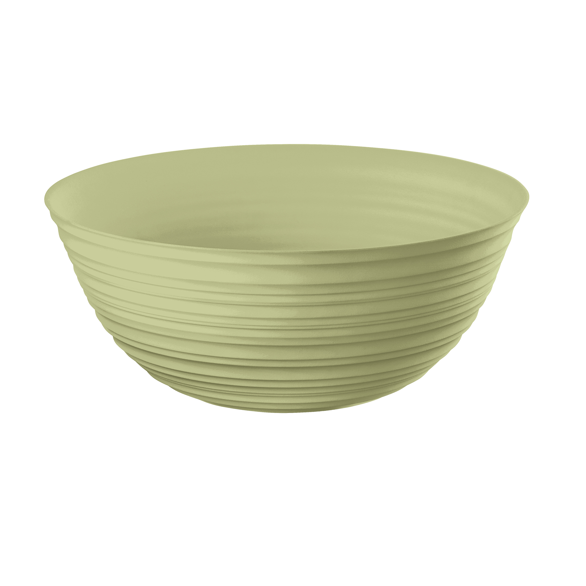 Schüssel Tierra 1