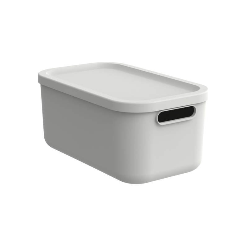 Rotho Box Albula