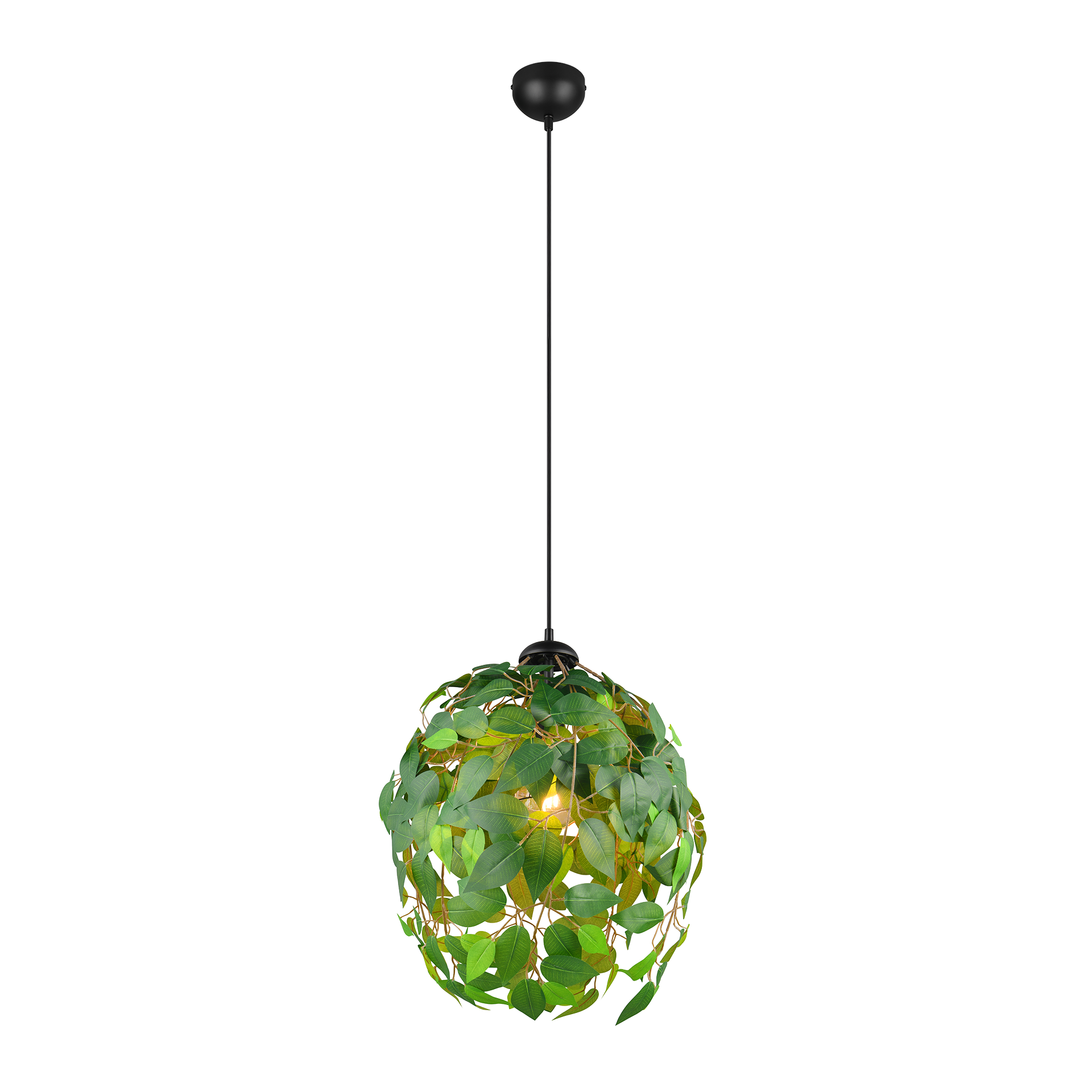 Pendelleuchte Leavy Schwarz Grün Pendelleuchte Leavy Schwarz Grün