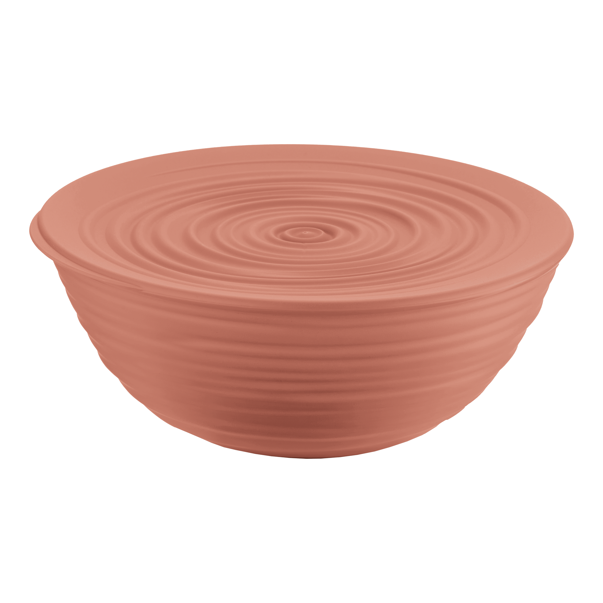 Schüssel Tierra 1