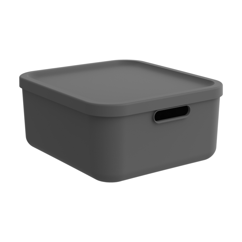 Rotho Box Albula