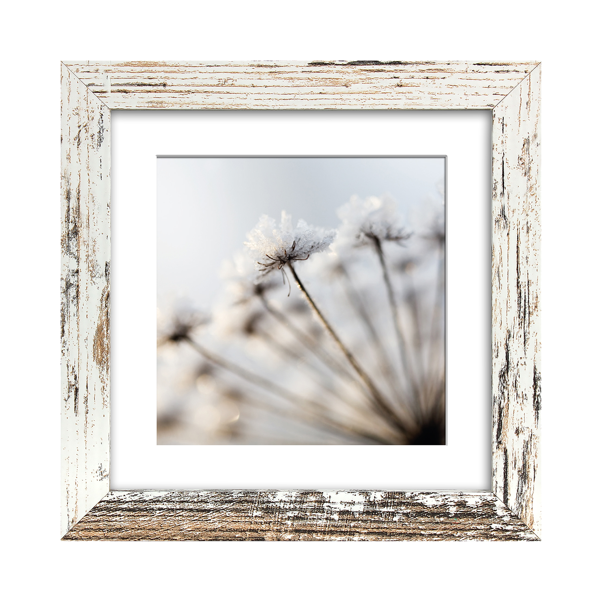 Bild The Frame Island Bild The Frame Island