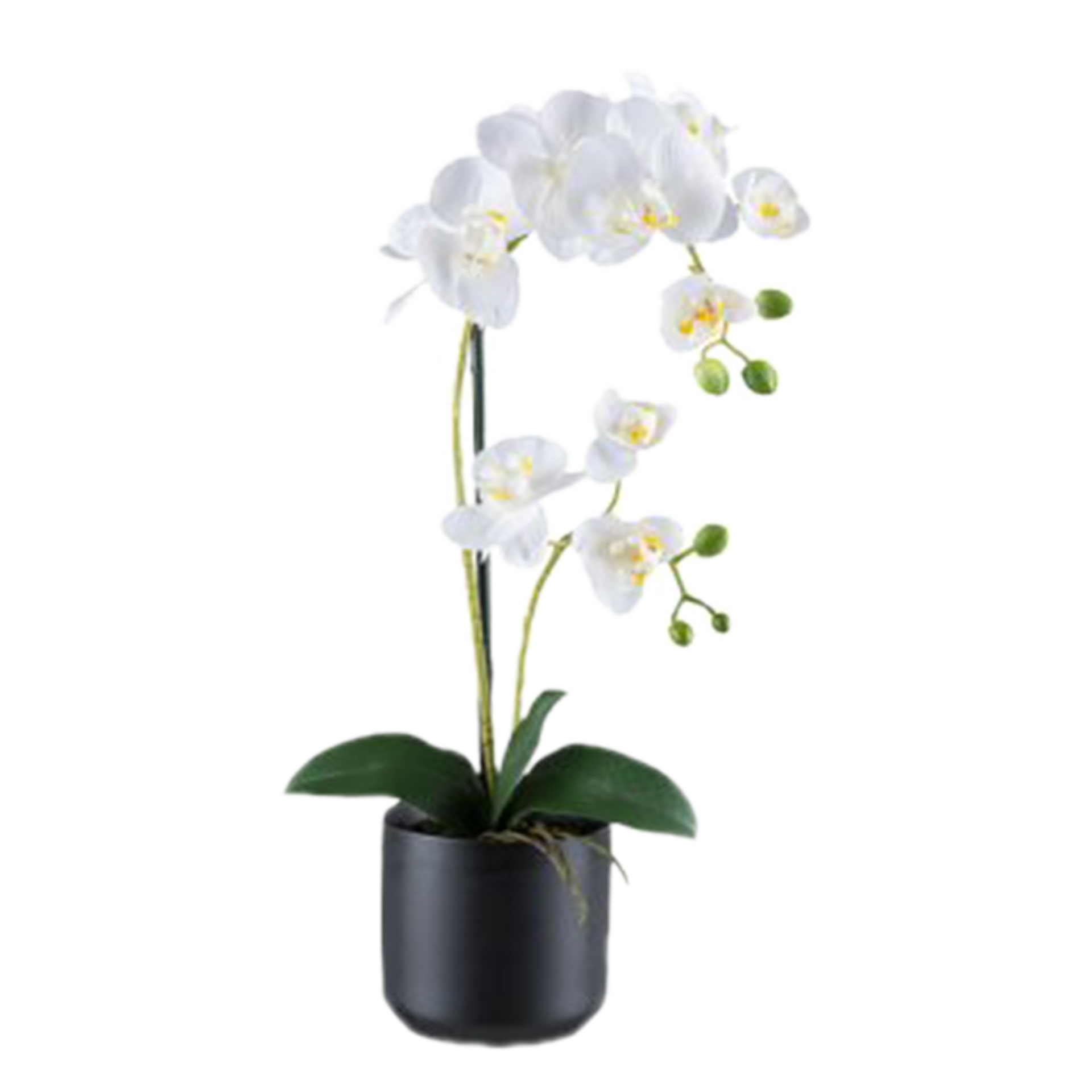 Kunstpflanze Phalaenopsis Weiß-Schwarz Kunstpflanze Phalaenopsis Weiß-Schwarz