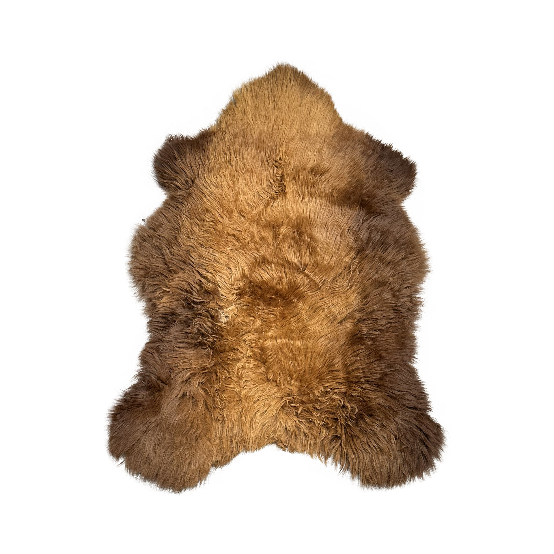 Fell Braun Fell Braun