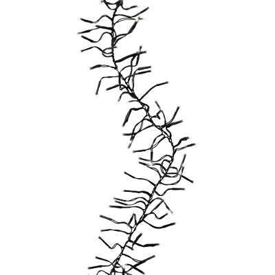 Weihnachtsbeleuchtung Schwarz