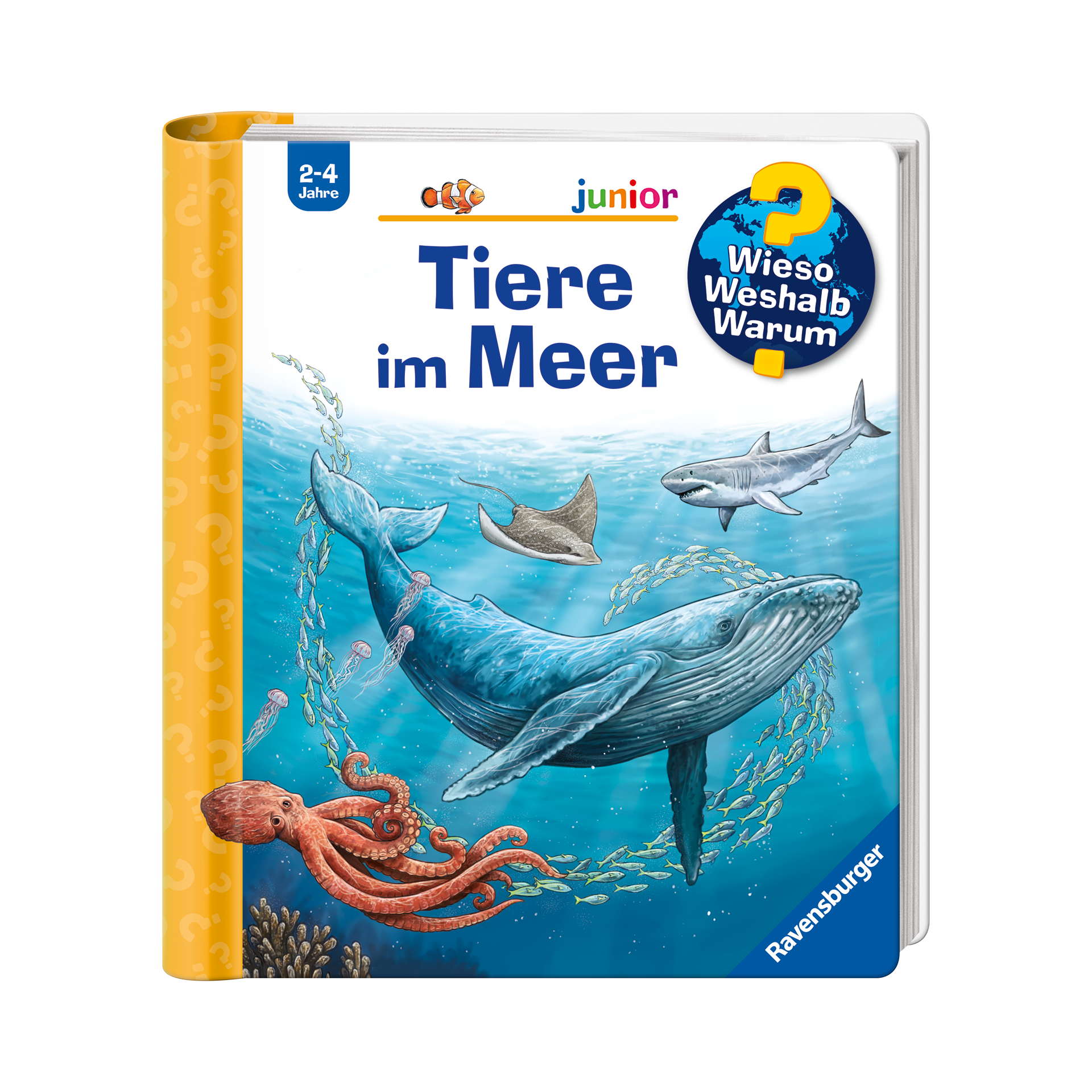 Buch WWW junior, Band 57: Tiere im Meer Mehrfarbig Buch WWW junior, Band 57: Tiere im Meer Mehrfarbig