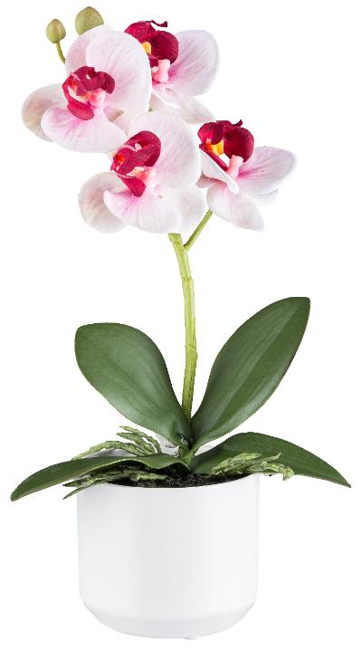 Kunstblume Phalaenopsis Pink Kunstblume Phalaenopsis Pink
