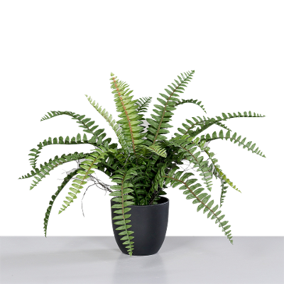 Kunstpflanze Farnarrangement grün Kunstpflanze Farnarrangement grün