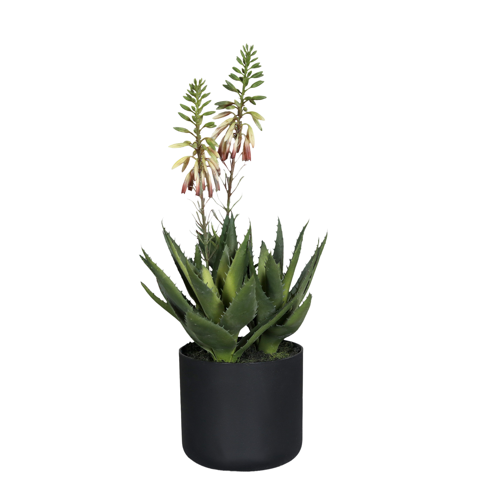 Kunstpflanze Agave Grün