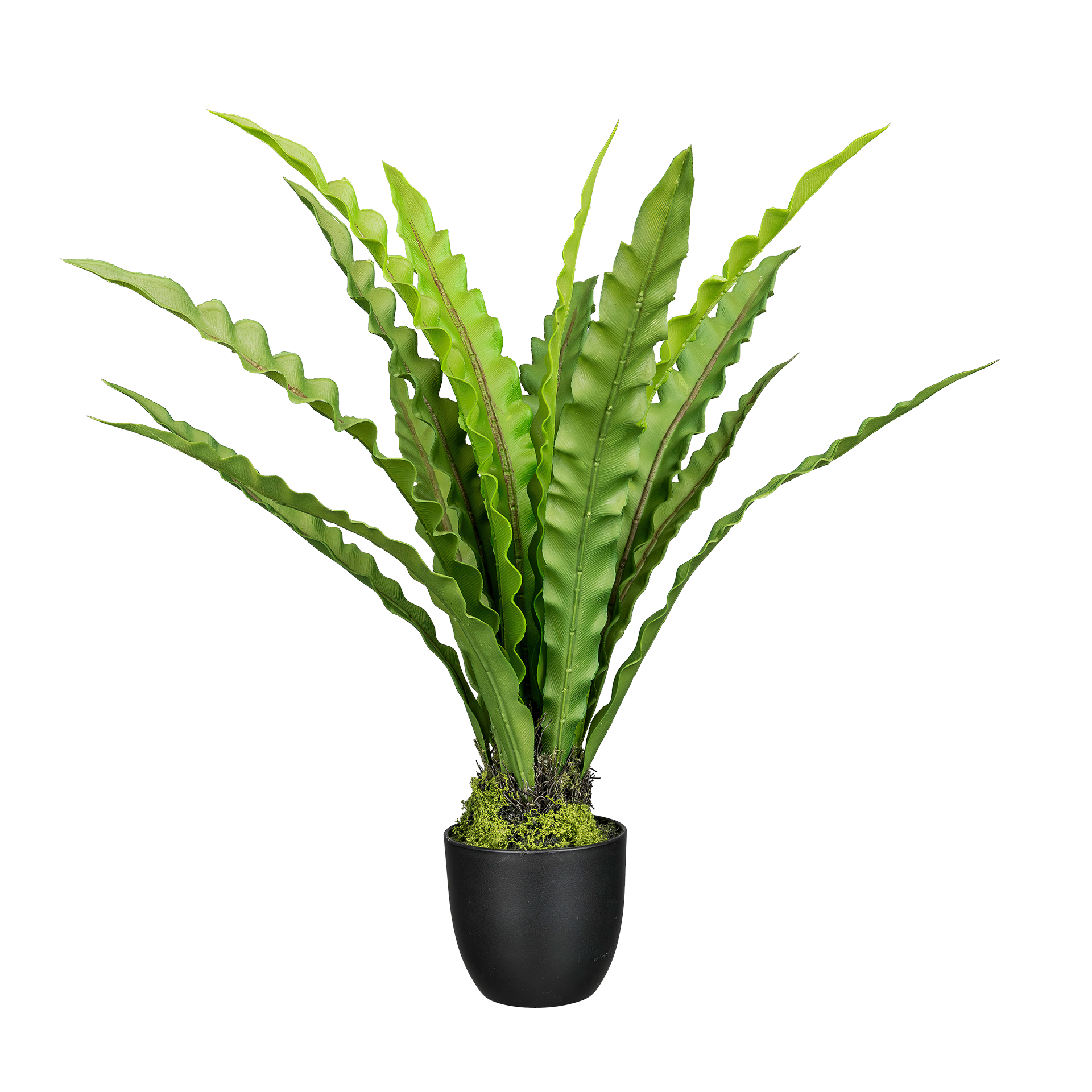 Kunstpflanze Farn Grün Kunstpflanze Farn Grün