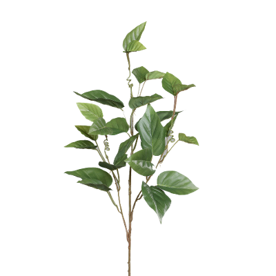 Kunstpflanze Caladium Grün Kunstpflanze Caladium Grün