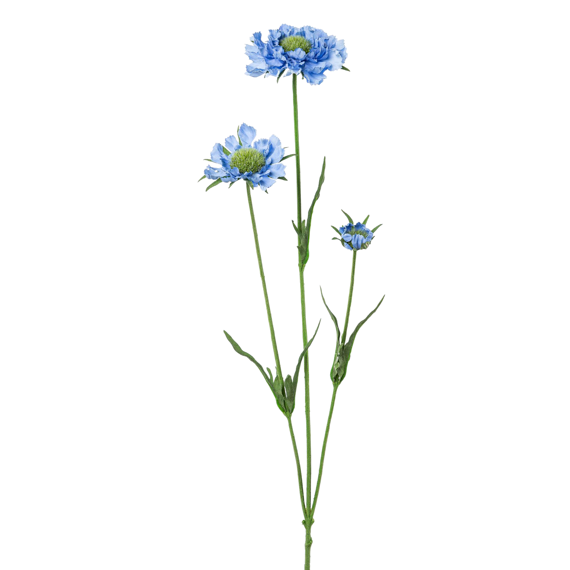 Kunstblume Scabiosa Blau-Grün