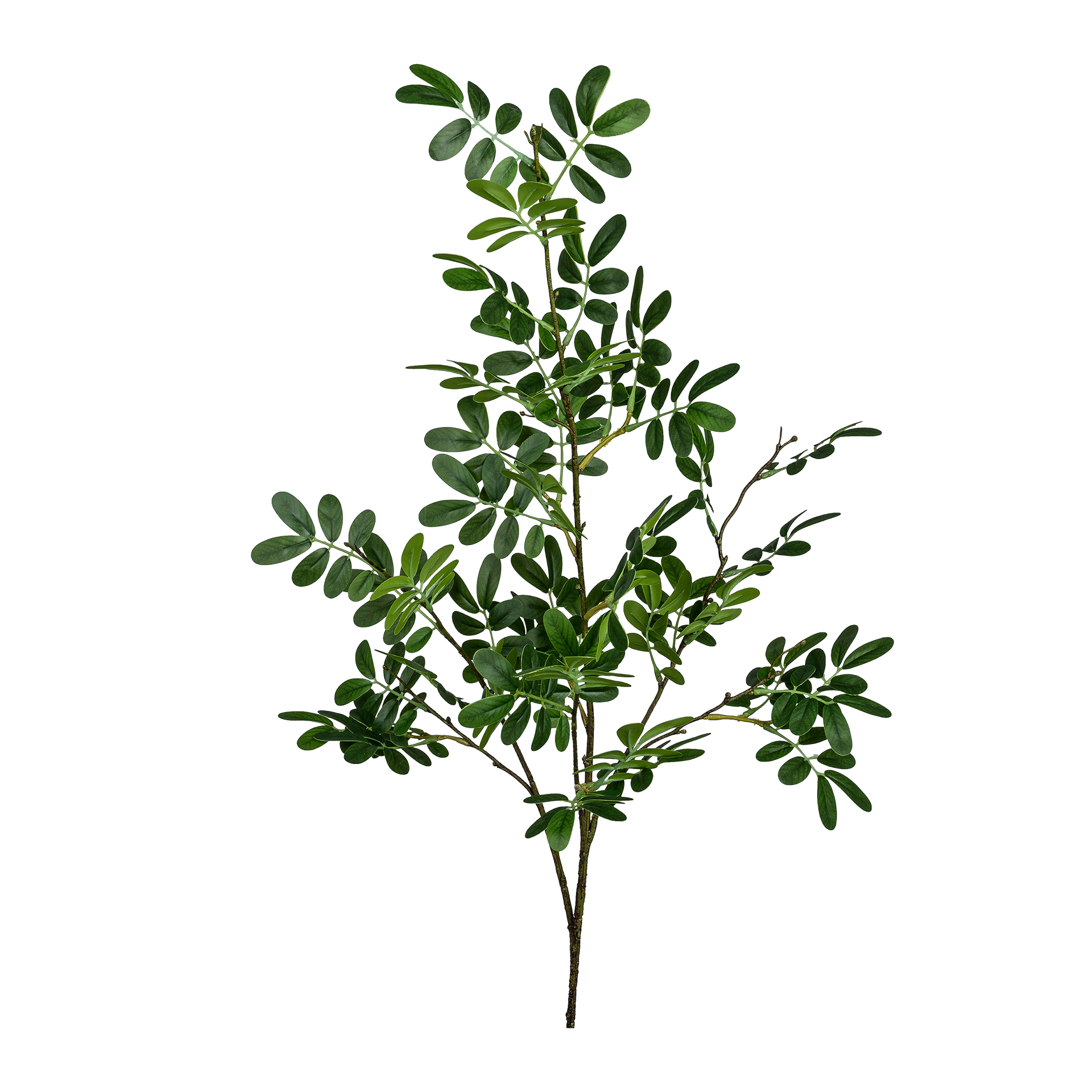 Kunstblume Moringa Grün
