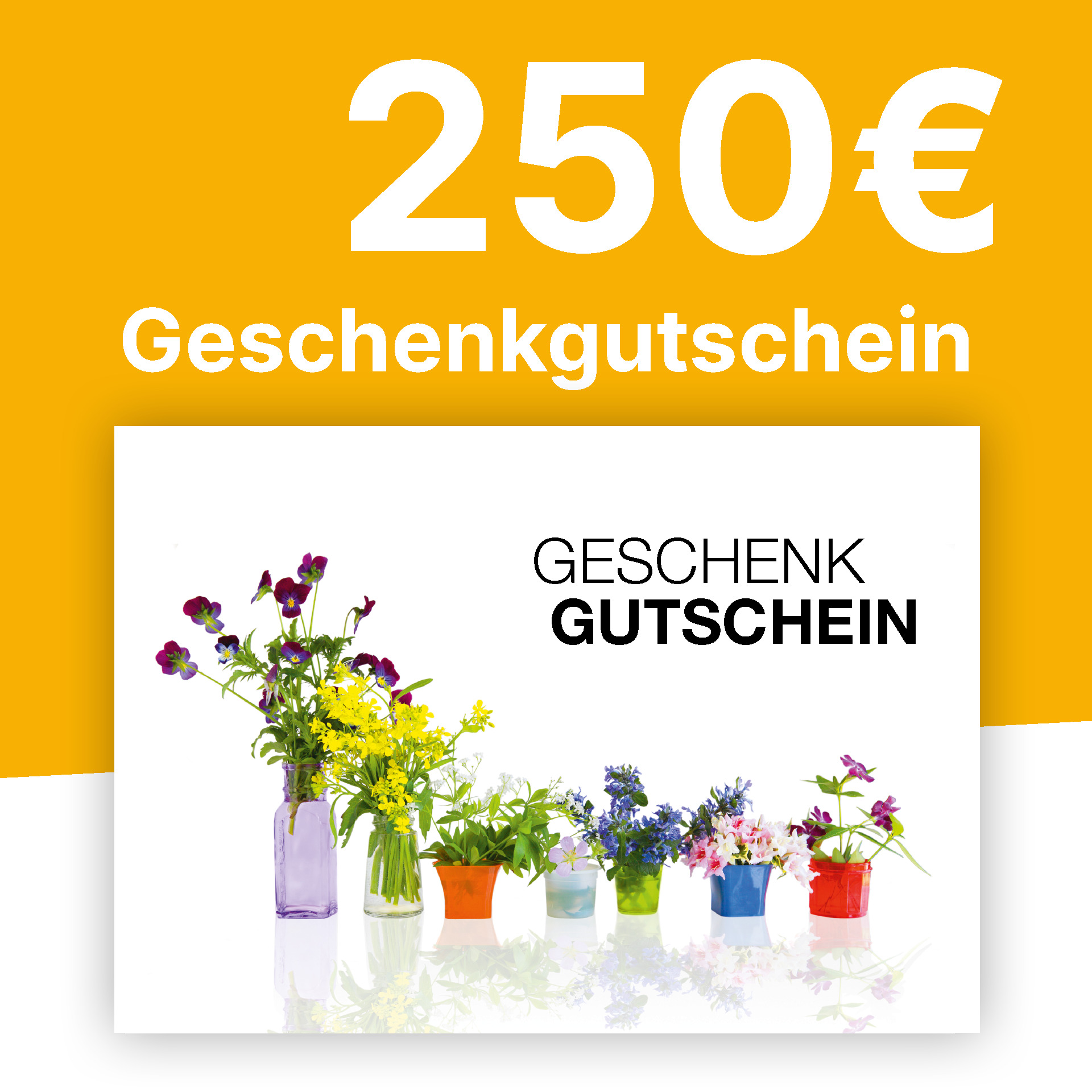 Gutschein 250,- € Gutschein 250,- €