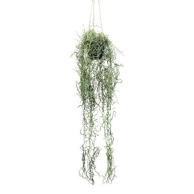 Kunstpflanze Tillandsia Grün