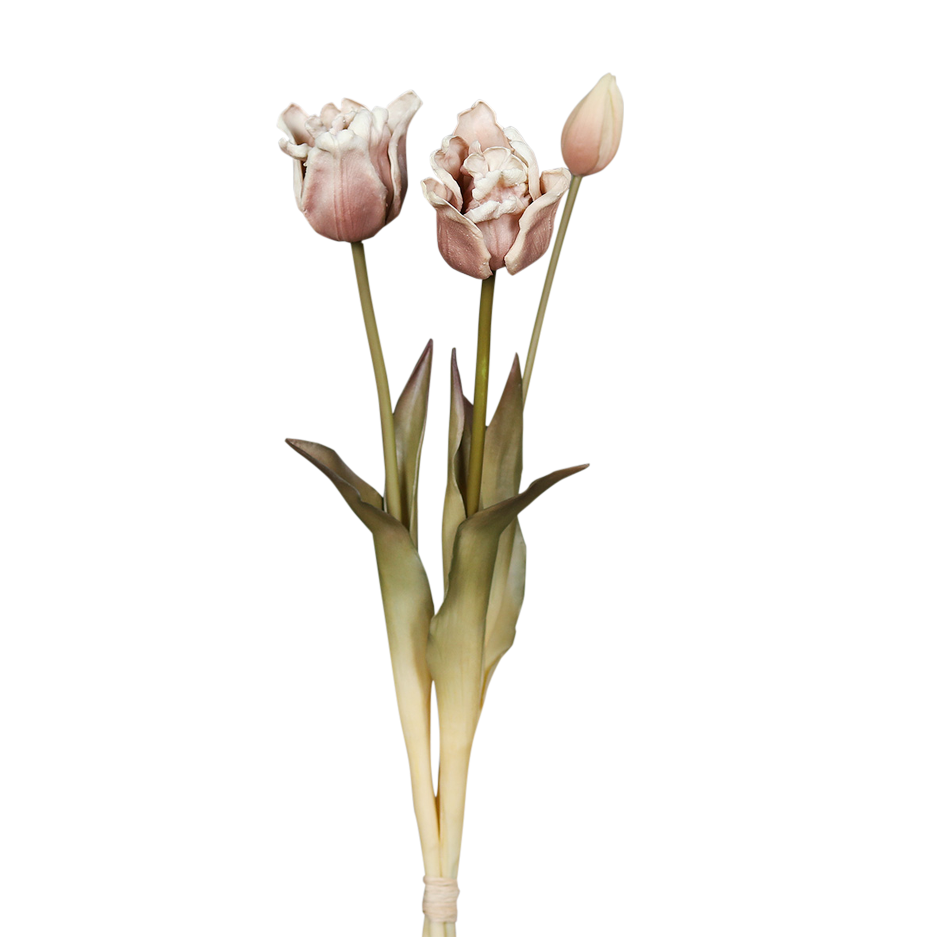 Kunstblume Tulpenbund Light Brown Kunstblume Tulpenbund Light Brown