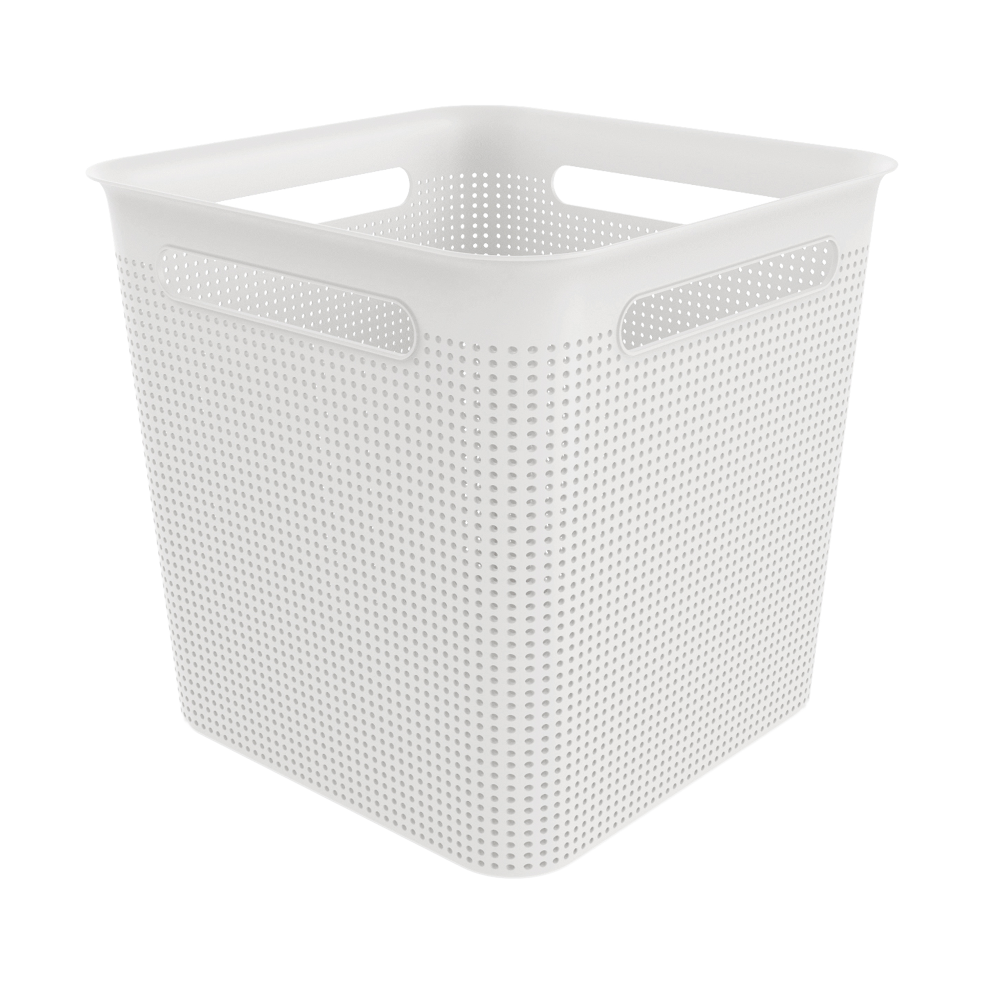 Rotho Box Brisen Rotho Box Brisen