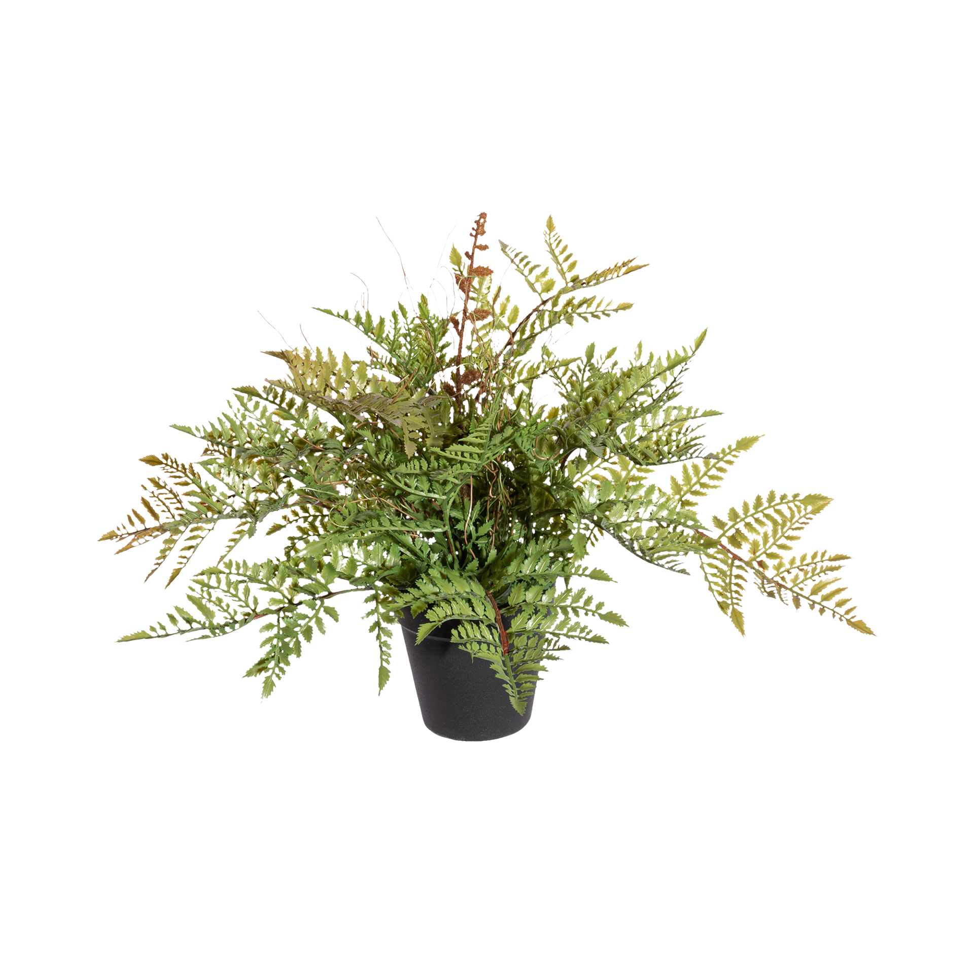 Kunstpflanze Farnbusch Grün-Schwarz Kunstpflanze Farnbusch Grün-Schwarz
