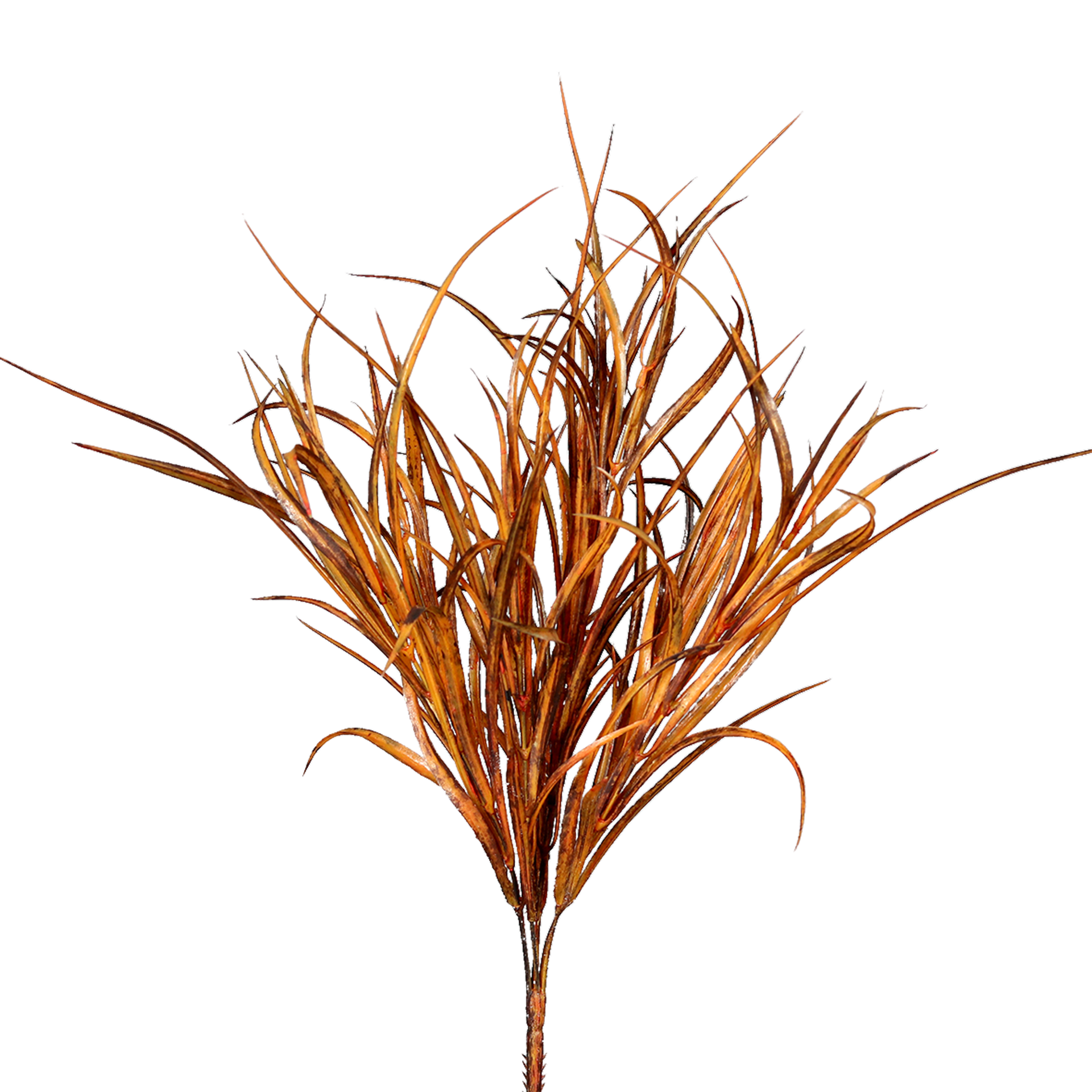 Kunstpflanze Gras Dark orange Kunstpflanze Gras Dark orange